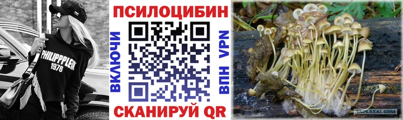 наркошоп  Покачи  OMG вход  Галлюциногенные грибы Psilocybine cubensis 